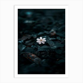 Flower In The Dark 18 Art Print