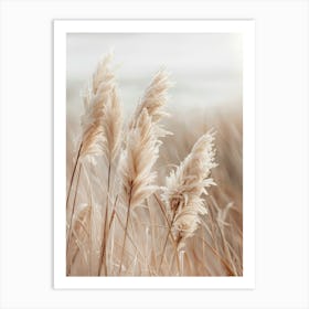 Pampas Grass By The Sea Art Print