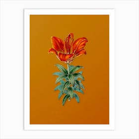 Vintage Blood Red Lily Flower Botanical on Sunset Orange n.0733 Art Print