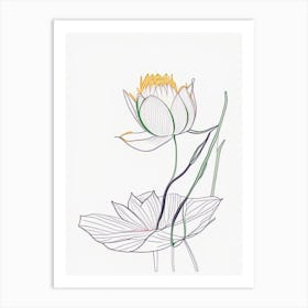 Lotus Flower In Garden Minimal Line Drawing 4 Art Print