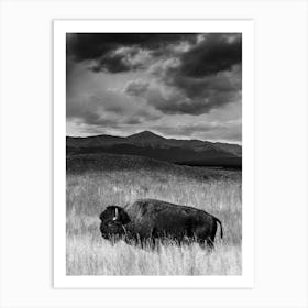 Colorado Bison Vertical Art Print