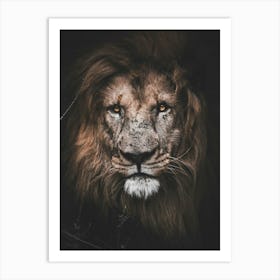 Lion Portrait 2 Art Print