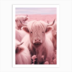 Heard Of Highland Cows Pink Realistic Photography 4 Art Print