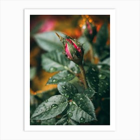 Poster Flower Art Print 6 Art Print