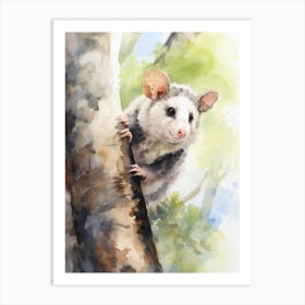 Light Watercolor Painting Of A Climbing Possum 3 Art Print