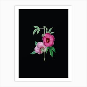 Vintage Mr.Lindley's Hibiscus Botanical Illustration on Solid Black n.0457 Art Print