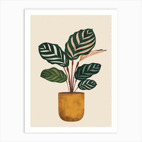 Calathea Plant Minimalist Illustration 2 Art Print