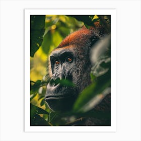 Gorilla In The Forest Art Print