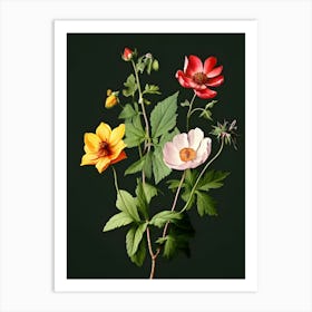 Flowers On A Black Background 22 Art Print