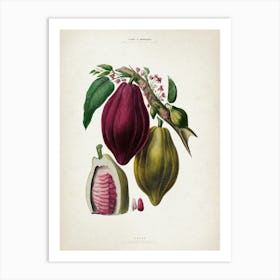 Vintage Denisse 3 Cacao Art Print