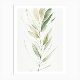 White Willow Leaf Minimalist Watercolour 1 Art Print