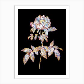 Stained Glass Provins Rose Mosaic Botanical Illustration on Black n.0086 Art Print