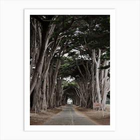 California Road Art Print