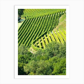 Vineyards In Andorra 20210826 229ppub Art Print