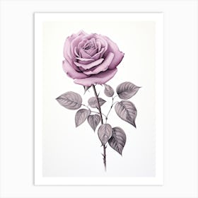 Roses Flower Vintage Botanical 2 Art Print