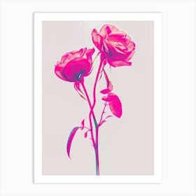 Hot Pink Rose 2 Art Print