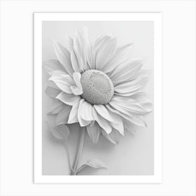 white Sunflower Art Print