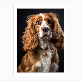 Golden And White English Cocker Spaniel Fluff Surrounding Soft Happy Gaze Purebred Demeanor Sitti (1) 1 Poster