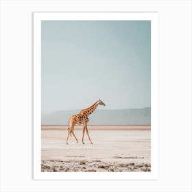 Giraffe Walking In The Desert Art Print