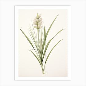 Lemon Grass Vintage Botanical Herbs 2 Art Print