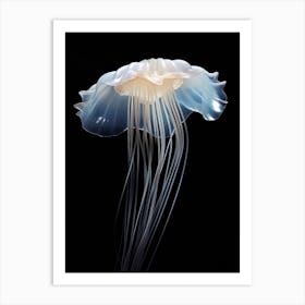 Turritopsis Dohrnii Importal Jellyfish Simple 1 Art Print