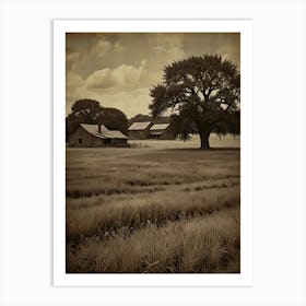 Sepia Art Print