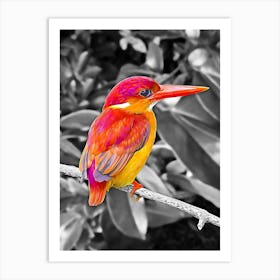 Kingfisher Art Print