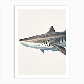 Sixgill Shark 2 Vintage Art Print
