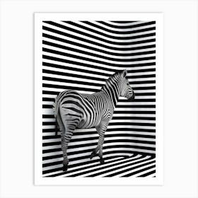 Zebra Art Print