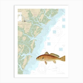 Vintage New York Fish and Game - Denton Redfish On Tybee Island To Doboy Sound Chart 11509 Art Print