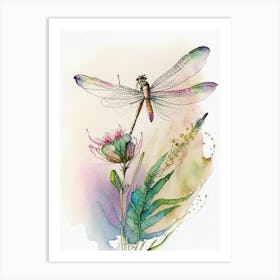 Dragonfly Flying Watercolour Ink Pencil 1 Art Print