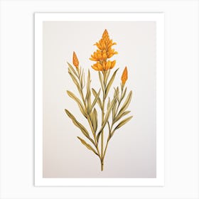 Turmeric Vintage Botanical Herbs 2 Art Print