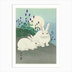 White Rabbits In The Moonlight Art Print