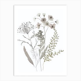 Minimalist Wildflower Floral Botanical Neutral Flower Art Print
