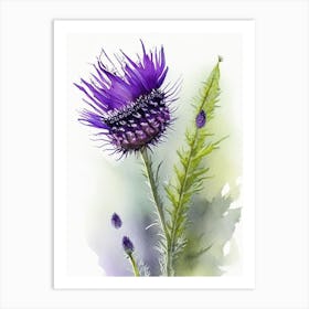 Thistle Wildflower Watercolour 2 Art Print