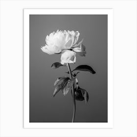 Bloom Black and White_2242734 Art Print