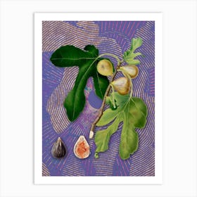 Vintage Figs Botanical Illustration on Veri Peri n.0681 Art Print