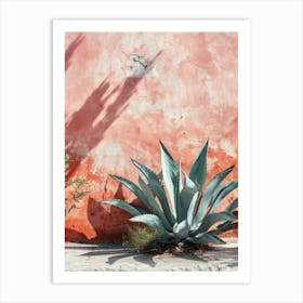 Agave Plant In Front Of A Wall Art Print