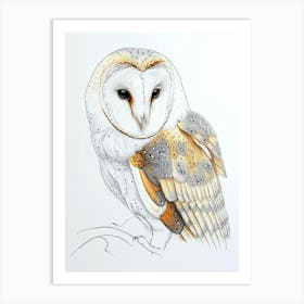 Barn Owl Drawing 3 Art Print