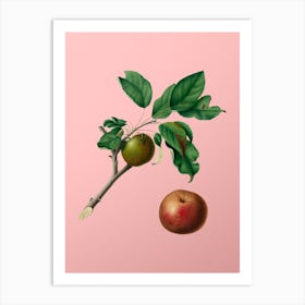 Vintage Apple Botanical on Soft Pink n.0469 Art Print