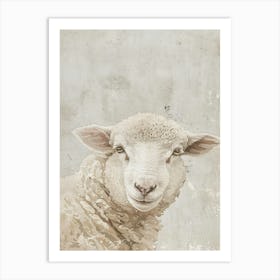 Sheep Canvas Print 4 Art Print