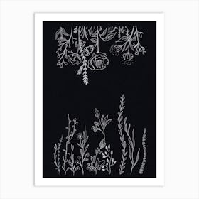 Flowers And Leaves Line Doted Art Print in Black Paper. Art Print