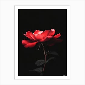 Red Rose Canvas Print 1 Art Print