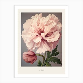 Floral Illustration Peony 4 Poster Art Print