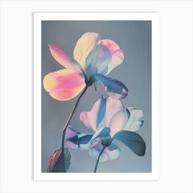 Iridescent Flower Cyclamen 4 Art Print