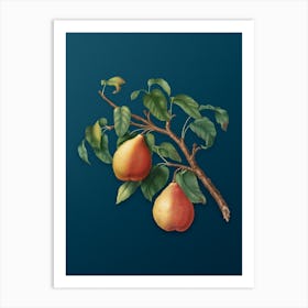 Vintage Wild European Pear Botanical Art on Teal Blue n.0364 Art Print