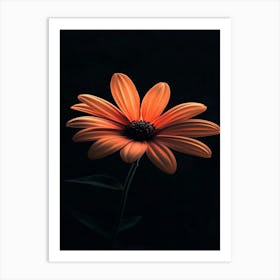 Orange Flower 2 Art Print