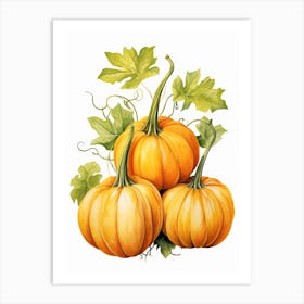 Lumina Pumpkin Watercolour Illustration 4 Art Print