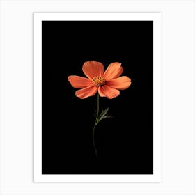 Cosmos 1 Art Print