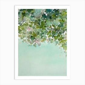 Montipora Storybook Watercolour Art Print